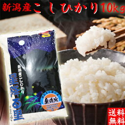 令和5年産 新潟産 コシヒカリ <strong>10kg</strong> <strong>送料無料</strong> 新潟 こしひかり <strong>無洗米</strong> 10キロ 米 新潟県産 新潟産コシヒカリ <strong>無洗米</strong>10キロ お米10キロ お米コシヒカリ10キロ 新潟県産コシヒカリ 新潟こしひかり お米 白米 コシヒカリ10キロ 米10キロ 米<strong>10kg</strong> 贈り物 内祝い