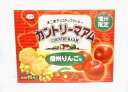 信州限定カントリーマアム信州りんご