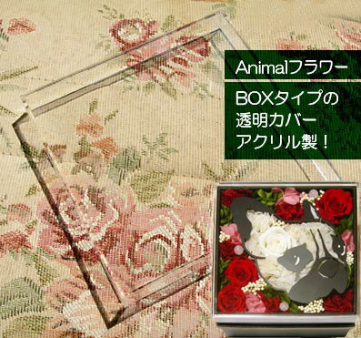 【お花と同時注文なら送料無料】アニマルBOXの透明蓋