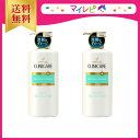 【送料無料】 パンテーン クリニケア 毛先までパサついて傷んだ髪用 シャンプー (550ml)・ コンディショナー (550g) セット ☆ PANTENE / ヘアケア / シャンプー / リンス / コンディショナー / トリートメント