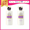 【送料無料】 パンテーン クリニケア 髪のうねり・くせ用 シャンプー (550ml)・ コンディショナー (550g) セット ☆ PANTENE / ヘアケア / シャンプー / リンス / コンディショナー / トリートメント