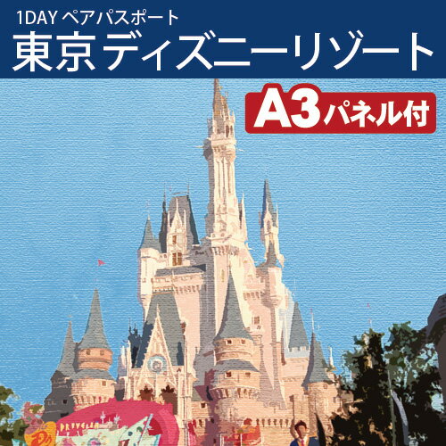 東京ディズニーリゾート1DAYパスポート　ぺアチケット　景品、二次会 景品、二次会景品、セット、ビンゴ、目録、ゴルフコンペ、忘年会、新年会、レビュー記入で送料無料景品、目録、セット、肉、二次会、イベント、結婚式二次会景品、大会、抽選会、アミューズメント★レビュー記入で送料無料★二次会、コンペ、ビンゴ、目録パネルセット、賞品