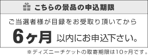 【送料無料・あす楽】二次会 景品　東京ディズニーリゾート1DAYパスポートぺアチケット、ディズニーランド、景品、結婚式　二次会　景品　目録、ビンゴ、セット、コンペ、2次会ディズニーチケット、ディズニーペアチケット