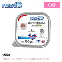 フォルツァ10 Forza10 CAT インテスティナル ア...