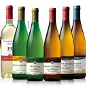 【送料無料】ドイツ甘口白ワイン飲み比べ6本セット 【7783382】