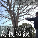 高枝切りバサミ 超軽量 伸縮 高枝切鋏/高枝切り のこぎり付 1.1kg 長さ5段階調節/キャッチャー機能/剪定ばさみ/剪定鋏/剪定はさみ/剪定 のこぎり □ _83111