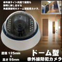 防犯カメラ ドーム型 レコーダー/RCA接続/録画 業務用/BNC端子 赤外線暗視機能 軽量/壁/天井/高感度センサー/角度調整/監視カメラ _92259 【P08Apr16】
