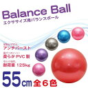 バランスボール 55cm フットポンプ付 アンチバースト 耐荷重/125kg 6色 ヨガボール ダイエット エクササイズ トレーニング ストレッチ 体幹 ストレッチボール フィットネスボール 姿勢 腰痛 歪み 器具 グッズ _@a565