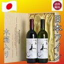秘蔵わいんアクアヴィタエ 赤白木箱入り2本セット 日本ワイン AQUAVITAE