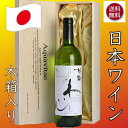 秘蔵わいんアクアヴィタエ 木箱入り 日本ワイン AQUAVITAE