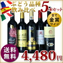 ぶどう品種 飲み比べ 赤 5本セット ワイン セット 金賞
