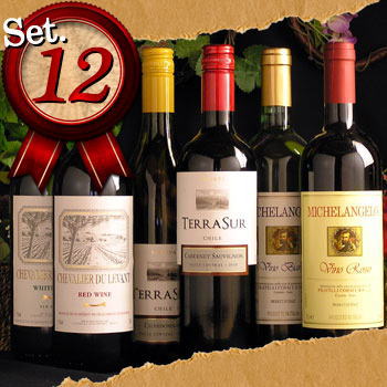 3大銘酒産国赤白12本 テーブルワインセット　12本 送料無料wine　フランス、イタリア、チリ、デイリーワイン にオススメ、ワイン12本セット ワイン wine