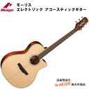 在庫あり、即日出荷!モーリス アコースティックギター ピックアップ付き R-011 NAT MORRIS ナチュラル (ソフトケース付) エレアコ【RCP】