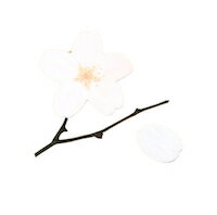 DCMR  y 1_ M z  TN   t ʂ t[ fR[V A v^[ Xe[Vi[   pbh