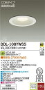 DAIKO LEDダウンライト(軒下兼用) DDL-108YWSS (電球色)(埋込穴φ150)