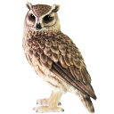 ふくろう 置物 ペットバンク Pet Bank Long-eared Owl トラフズク(ふくろう 置物 フクロウ 貯金箱)
