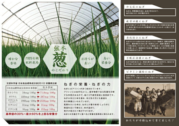 100%有機肥料栽培『マルゲンプレミアム』厳選小葱...:n-tsuhanshop:10002023