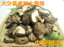 【送料無料】なばやの小粒椎茸100g入り【大分産原木椎茸!生...