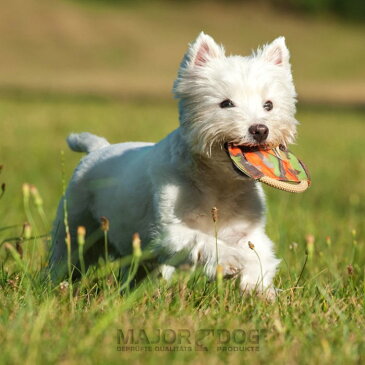 メジャードッグ /Frisbee mini（フリスビー・ミニ） 特殊繊維・犬用おもちゃ・MAJORDOG