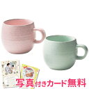 【まとめ買い10セット】 ぽったりマグペア 内祝い 結婚内祝い 出産内祝い 景品 結婚祝い 引き出物 香典返し ギフト お返し 楽天スーパーセール