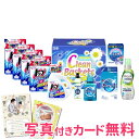 クリーンバスケット洗剤ギフトセット 内祝い 結婚内祝い 出産内祝い 景品 結婚祝い 引き出物 香典返し お返し ギフト