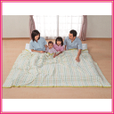 家族タオルケット　ワイドタイプ　グリーン 250×190　1枚で家族一緒に寝られるタオルケット