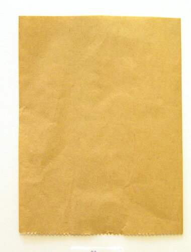 【1.76円/枚　ケース販売　送料無料】果実袋　びわ用　KHF　#21(1重袋)90×125mm　1ケース(5000枚)