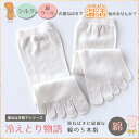 【冷えとり物語】 5本指靴下 綿【サイズ/22-24cm】【...