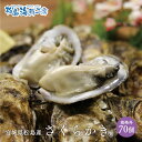 送料無料 松島産 産直 さくらかき 70個 ※只今の季節は加...