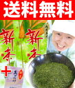 6時間限定タイムセールメール便送料無料◆新茶ワンコイン鹿児島茶100g×2本にあさつゆ一煎(6g)のおまけ付き！2013年新茶/緑茶通販でおいしい旬のお茶を！鹿児島産荒造り新茶タイムセール！メール便送料無料◆新茶ワンコイン鹿児島茶100g◆2013年新茶（緑茶）通販でおいしい旬のお茶を！鹿児島産荒造り新茶