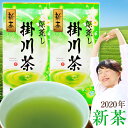 予約 2020年度産 深蒸し茶 掛川茶100g×2袋セット ...