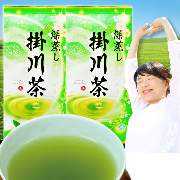 2024年度産 新茶 深蒸し茶 掛川茶100g×2袋セット お茶 <strong>茶葉</strong> 静岡茶 煎茶 深むし茶 緑茶 プチ<strong>ギフト</strong> ポスト投函便送料