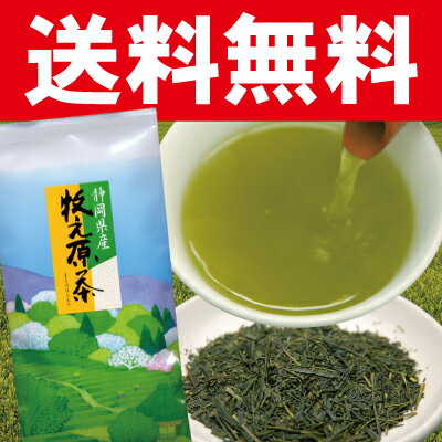 【メール便送料無料】　ワンコイン静岡茶　「牧の原茶」緑茶の名産地・牧の原台地のお茶美味しい煎茶（日本茶・緑茶）でほっと一息♪氷出しでまろやかおいしいお茶牧之原茶