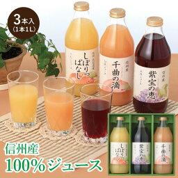 信州寿果樹園 こだわり 100％ ジュースセット <strong>りんご</strong>ジュース 巨峰ジュース ぶどう 白桃 桃ジュース CPG-3 スイーツ フルーツ 果実 お歳暮 御歳暮 ギフト 贈答 <strong>贈答品</strong> お土産 ミックス 信州 <strong>長野</strong> 送料込（沖縄別途590円）詰め合わせ 濃厚