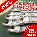 焼うるめ 10尾入り お試し用ミニパック DM便送料込
