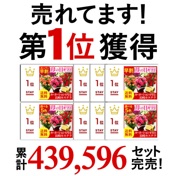 カーネーション プリザーブドフラワー アイテム口コミ第10位