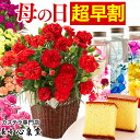 母の日 [カーネーション ハーバリウム 花 鉢花 鉢植え 生...