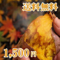 【お試し送料無料】冷凍石焼ごといも1.2kg（300g×4袋）小分けタイプなので、好きな時に好きな分だけ、電子レンジでチン♪夏は「冷やしごといも」がおススメです！0612【RCPmara1207】