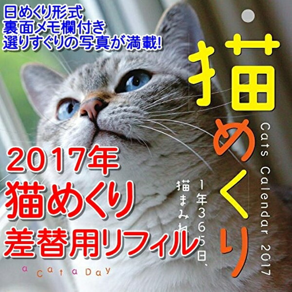 大人気の2017年 日めくりカレンダー【猫めくり】差替用リフィル ckc17-02（ねこ/…...:nagasawa:10210328