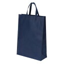 サンナップ 不織布バッグ ブルー 320×120×450mm 10枚 FBH-45DB (1パック(10枚入))