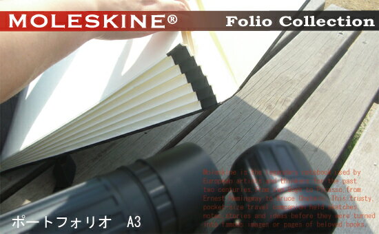 MOLESKINE Folio Collection　フォリオコレクション ポートフォリオ　A3サイズ　6ポケット852271（モレスキン/モールスキン）