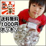 【送料無料】【72%OFF!】1000円 ポッキリ♪オーガニック・ルイボスティー福袋★メール便【1世帯さま一回限定】【2パック限り】【ルイボス茶】【ノンカフェイン】【訳あり】