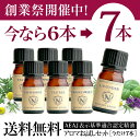 【9周年記念大創業祭 1本増量】ピュア エッセンシャル オイル 選べる6本→7本セット 各5ml【送料無料】精油 | アロマオイル オレンジ | レモン | ローズマリー | ラベンダー