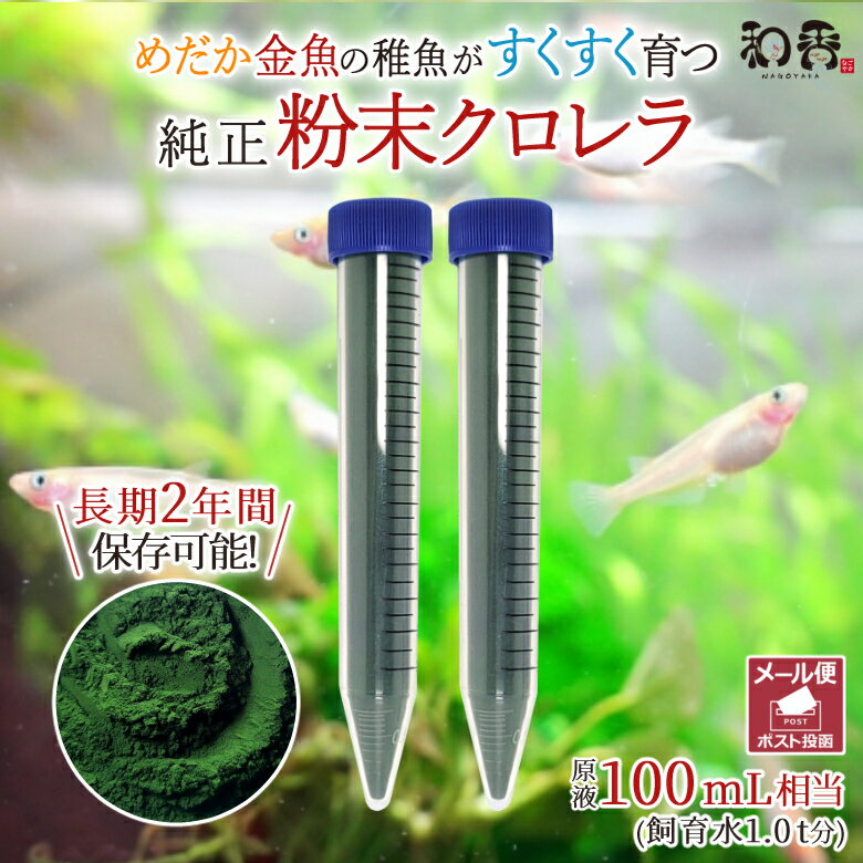 クロレラ 粉末 和香 送料無料 特選粉末 生クロレラ 原液100ml相当（粉末30ml）金魚 <strong>メダカ</strong> 針子<strong>稚魚</strong> ミジンコ ワムシ 餌 えさサプリ グリーンウォーター 濃縮 ゾウリムシ 培養 めだか 熱帯魚 淡水魚 海水魚 観賞魚 PSB 錠剤