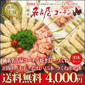 敬老の日【送料無料】生串　純系名古屋コーチン焼き鳥セット！焼き鳥・つくね30本セット（冷凍保存）イベントに！プレゼントにも♪鶏肉【ギフト対応】【楽ギフ_包装】【楽ギフ_のし】【地鶏】【冷凍】【焼鳥セット】焼き鳥 業務用 バーベキュー 酒の肴 おつまみ 鶏むね肉