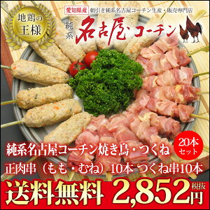 【送料無料】生串　純系名古屋コーチン焼き鳥セット！焼き鳥・つくね20本セット 4-5人前（冷凍保存）イベントに！創業50周年 信頼と実績の地域特産品賞受賞店◆鶏肉【ギフト対応】【楽ギフ_包装】【楽ギフ_のし】地鶏 業務用 バーベキュー おつまみ 鶏むね肉