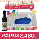 ★送料無料★9Wライト付属レジンスターターキット★ラメ12色&シリコン型付きの初心者さんにオススメセット