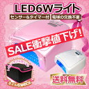 只今1000円引き【数量限定/棚卸し在庫処分】LE
