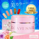 【ポイント10倍】「LOAVEカラージェル」化粧品★「良発色」「扱いや...