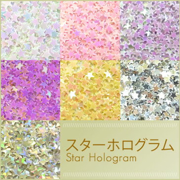 スターホログラム ネイル ジェルネイル